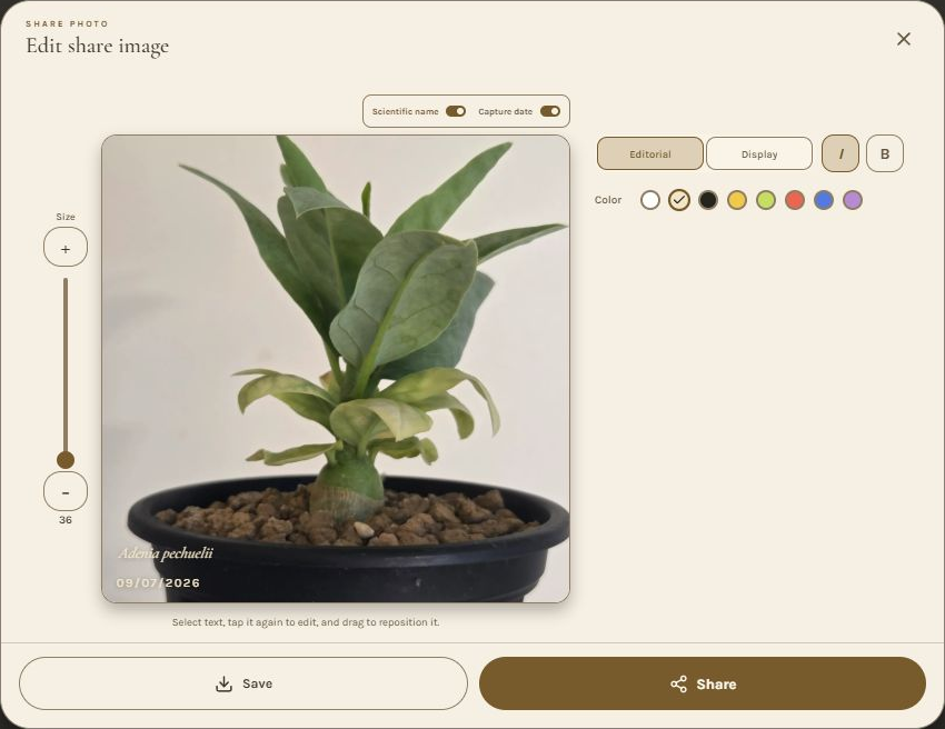 Actual BARCHIVE photo-sharing editor with size, name and date toggles, font, italics, weight, eight colors, save and share controls